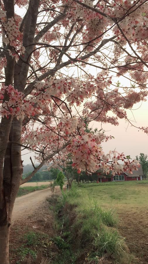 Romance - Another Story In Pai Exterior foto