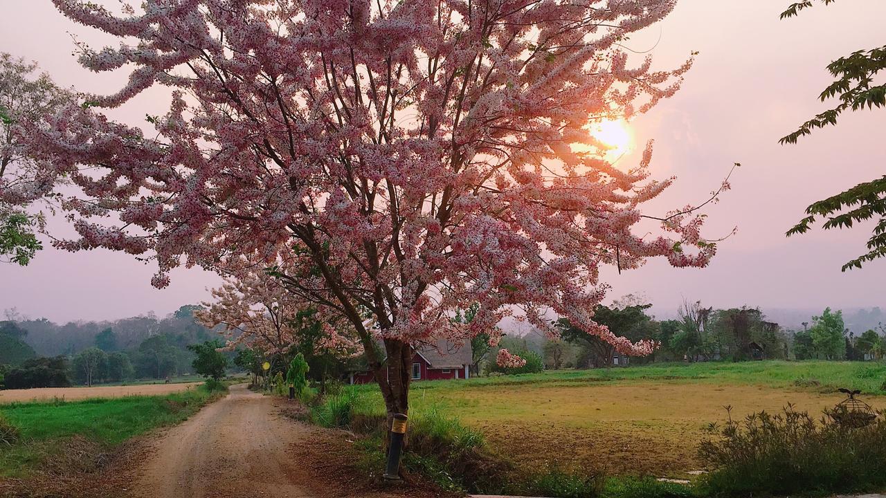Romance - Another Story In Pai Exterior foto