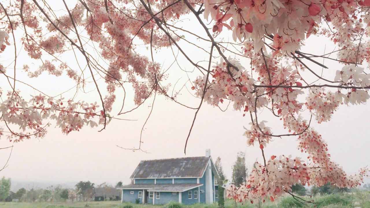 Romance - Another Story In Pai Exterior foto