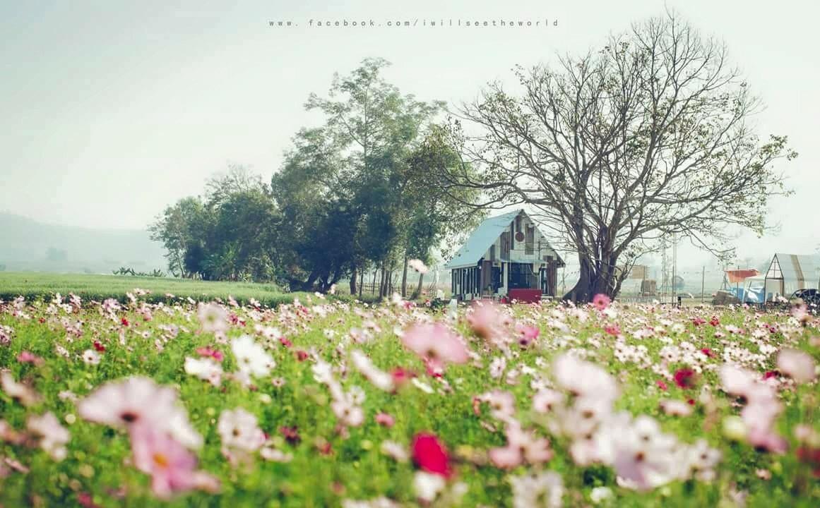 Romance - Another Story In Pai Exterior foto